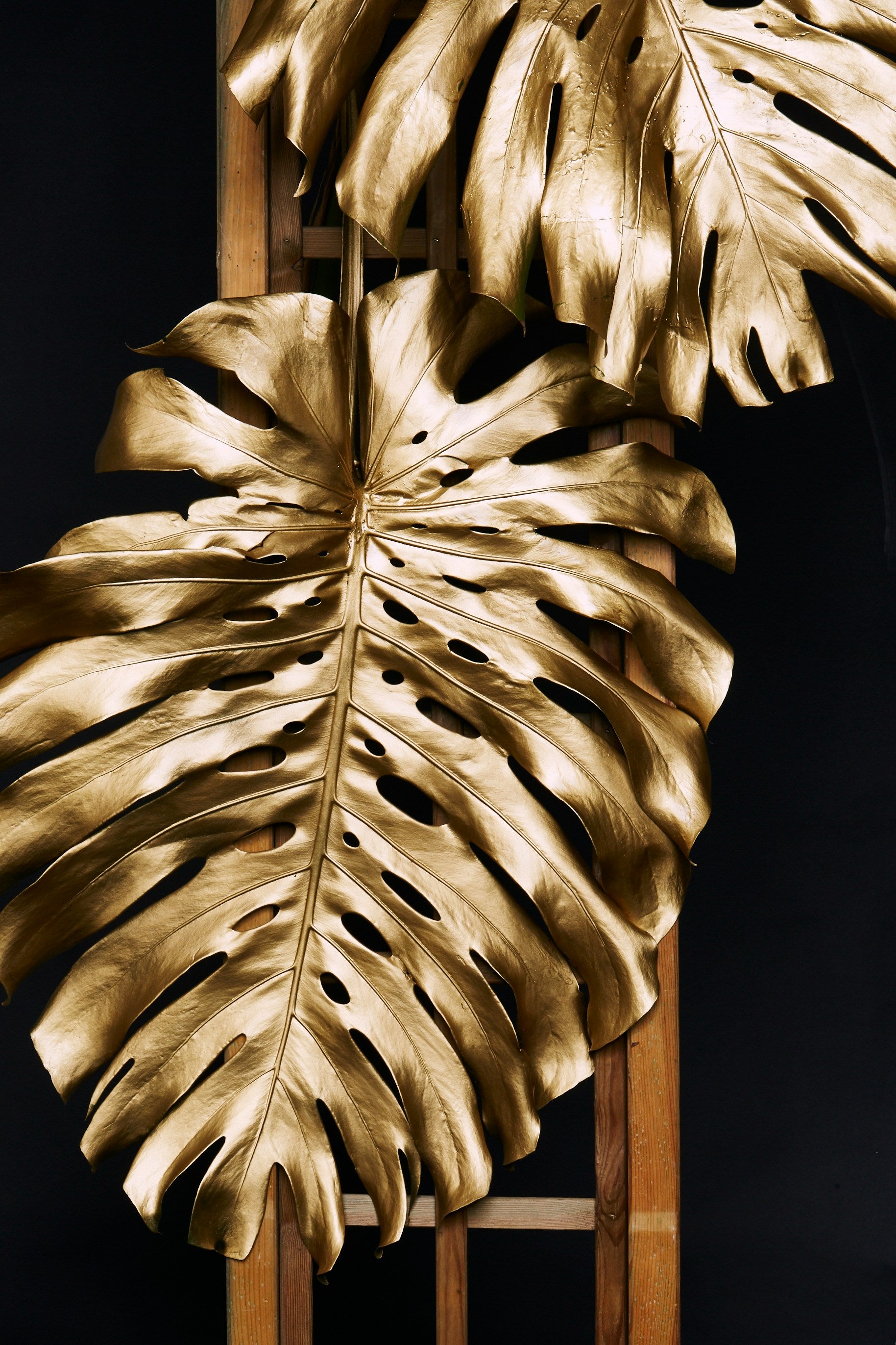 Shop Luxury Gifts